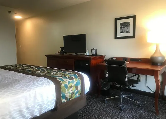 Regency And Suites 3*
