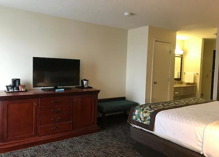 Hotel Regency And Suites